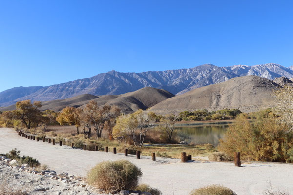 Lone Pine Lake Campsite...