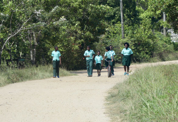 ..boys and girls in their uniform on their way to school..