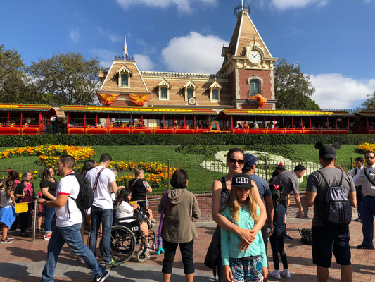 Disney Land Steam Train