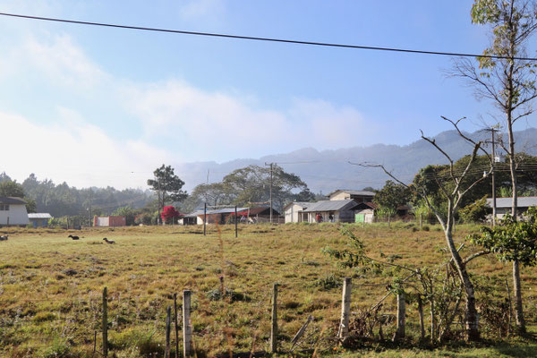 The road to Palenque was the highway 199 a winding road through the mountains..