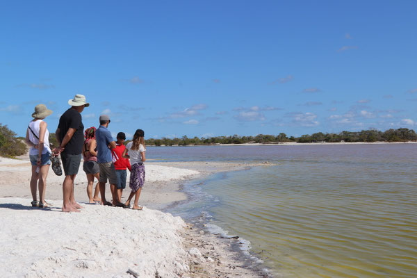 The next day we went for a tour into the pink lagoons of Celestun..