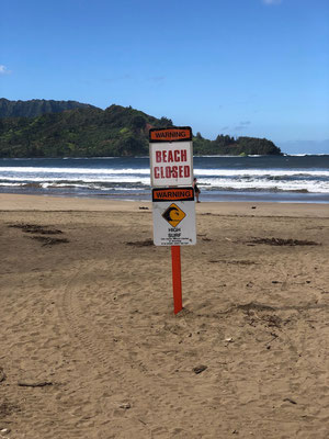 Hanalei Beach is closed, but funny enough no one seemed to care 