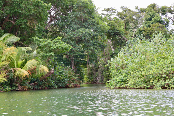 This is the hole we slipped through that evening into the bioluminescence Lagoon - a truly magnificent experience - the algae only glows if you move the water - so you can see the glow the fish make as they swim past you