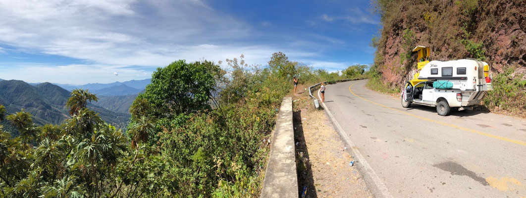 ...here a view of the roadside sometimes the green vegetation grew into the road so far you would only have a single lane to drive on