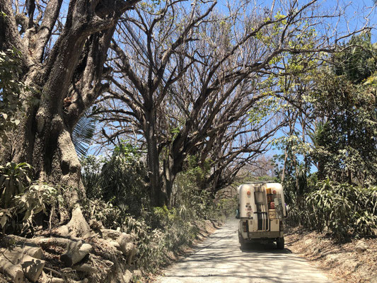 The next day we drove into Montezuma