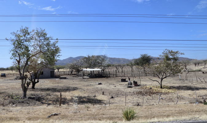 People living in very simple tin roof houses