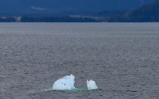 ...and leaves blocks of ice floating around!!