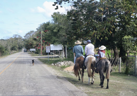 There are not many vehicles on the road in Guatemala instead you see a lot of people either riding horses or walking
