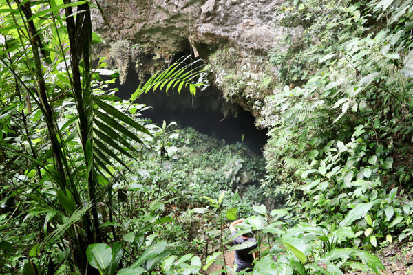 The entry to the cave