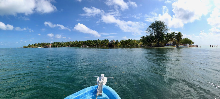 Arriving on the small Island of South Water Caye we tested our Snorkelling equipment and then head out to the corals - we had an encounter with a giant Manta Ray - I must say that gave me the shivers when he swam towards us 
