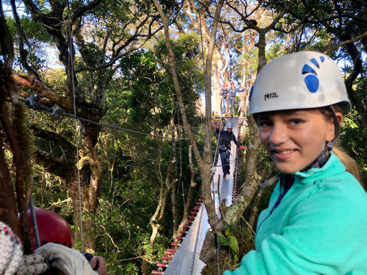 ..next thing, walking in the heights of the rain forest over a wobbling hanging bridge
