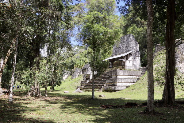 Tikal extends over an area of about 65 square kilometres, of which the central area covers about 16 square kilometres, with over three thousand buildings.