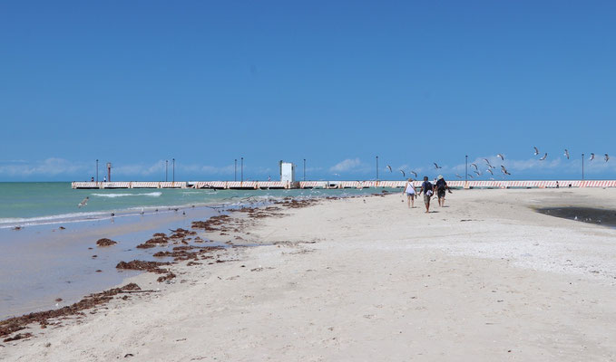 This is our favourite spot on the beach in Celestun. A great place for Kite Foiling too!!!!