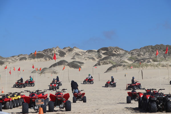 On our way down Oceano Beach we see quads....