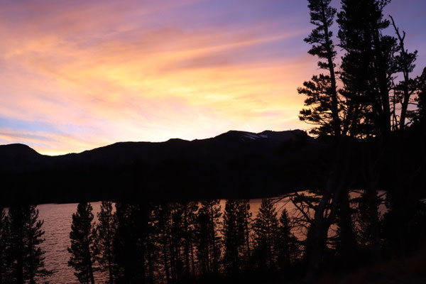 The glow of the sunset 