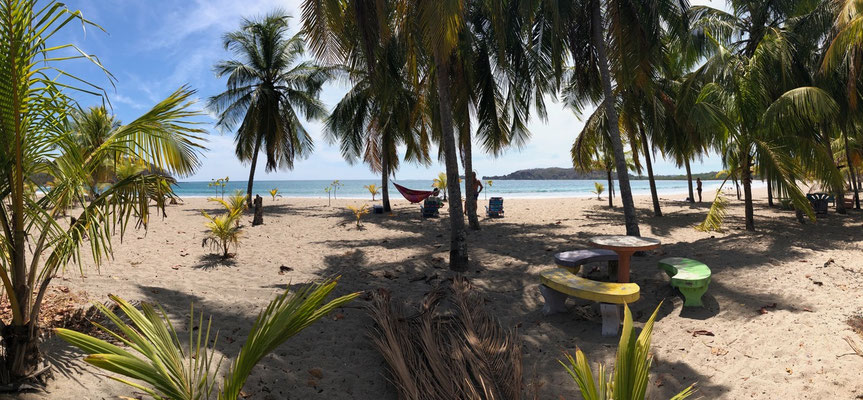 We past beautiful beaches with lovely picnic areas under palm trees - this is the big difference between Costa Rica and the rest of Central America