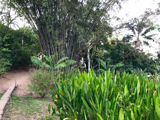 We went for a walk to the other side of the bay past luxury Resorts in the middle of the Reserve 