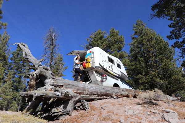 Lunch stop Lassen Volcanic National Park