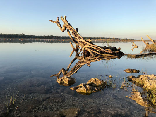 ..the water was like a mirror - check it out - what is real and what is just a mirror reflection?