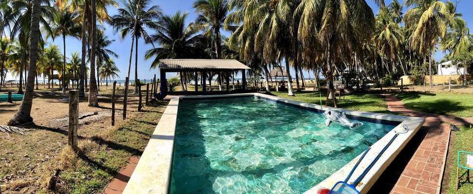 Adela offered us a plot next door as we couldn't pass through her gate way (h:2.7m) - what an amazing place with swimming pool and beach front