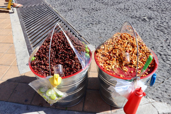 ...we thought they were selling nuts & berries, but no the basket on the left was full of grasshoppers a Mexican snack, 