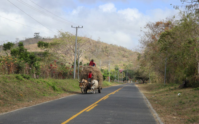 On the 5th March we left Popoyo and head inland - here a typical sight on the roads in Nicaragua