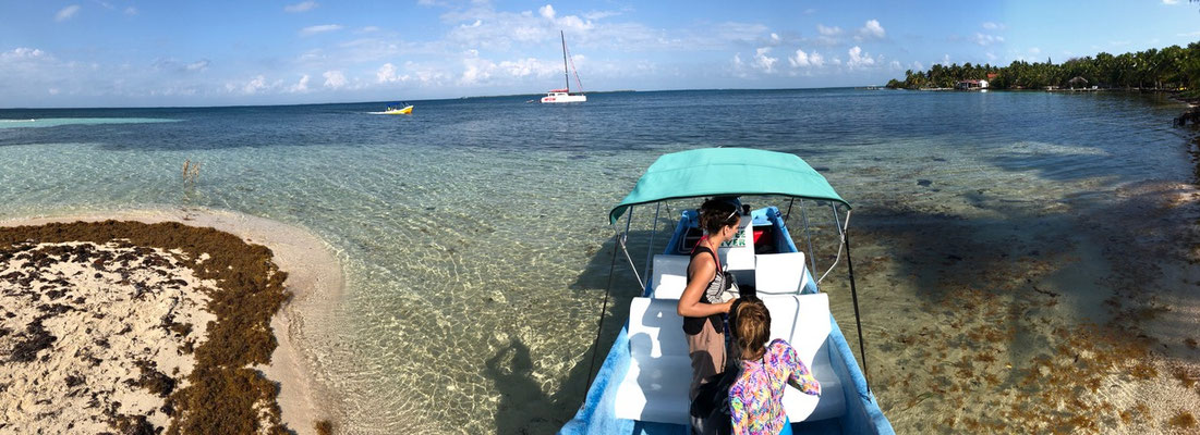 The next day we booked a trip out to the coral reef of Belize