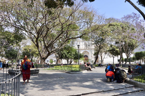 Central Park in Antigua