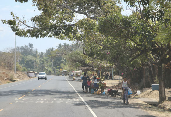 Roadside fruit stands