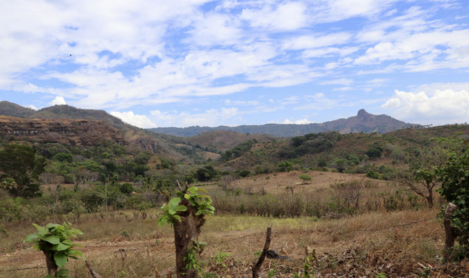 ...we drove through the hills neighbouring the coast line..