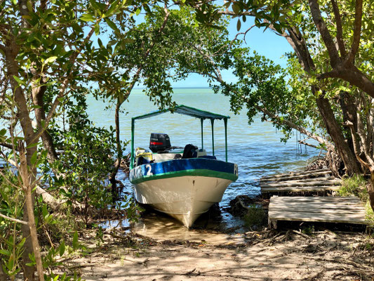 our stop off in the mangroves