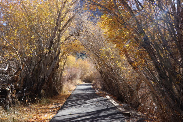 Convict Lake