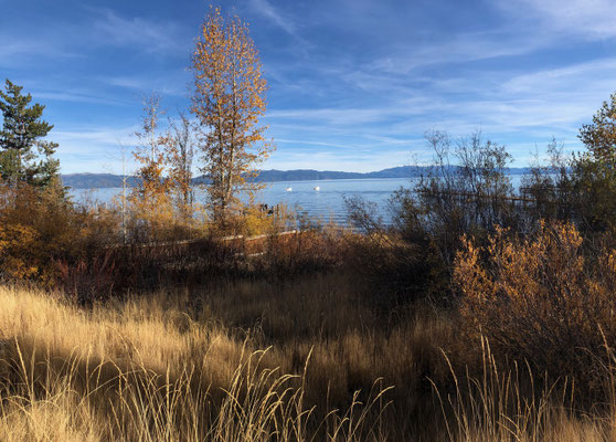 ...taking a walk down the beautiful Tahoe lake shore