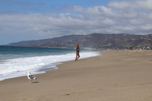 Malibu Beach