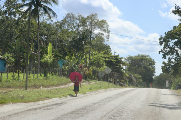Leaving El Remate you see a lot of Indigenous People walking along side the road