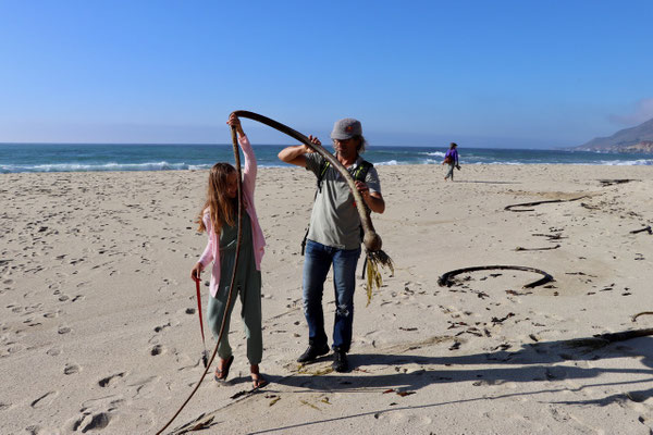 Beach Games