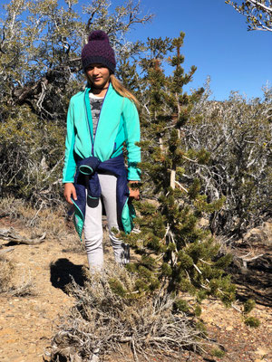 ...this Bristlecone just the size of Lynn is believe it or not most probably over 50 years old...