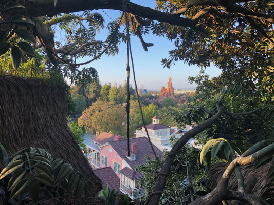 Tarzan Tree