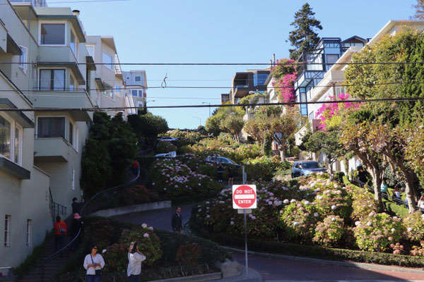 Looking up Lombard Street