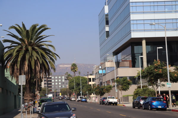 Sunset Boulevard, Hollywood