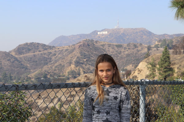 View Point above Hollywood
