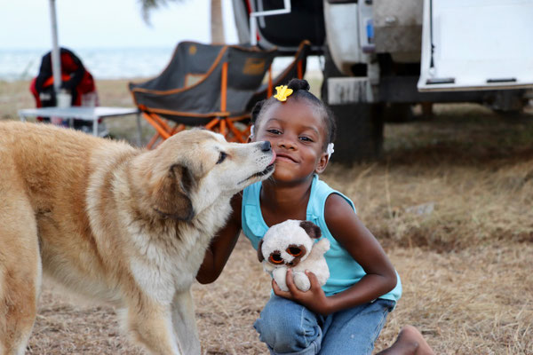 The sweet girl enjoyed playing with Lynn's teddies and her dog