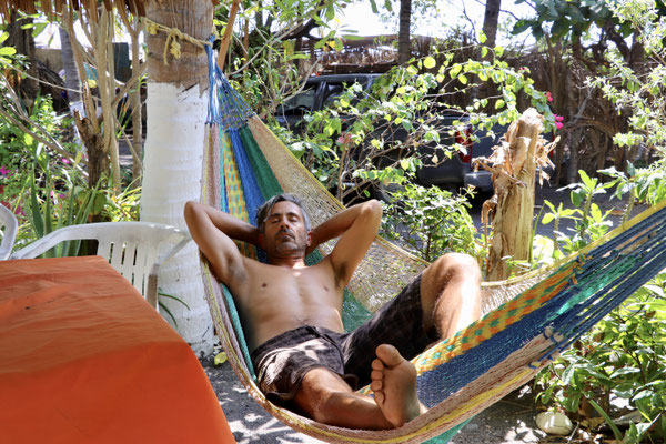 ...and a snooze in the hammock