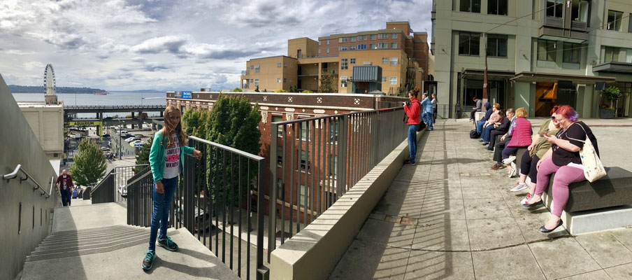 Seattle City Scenery
