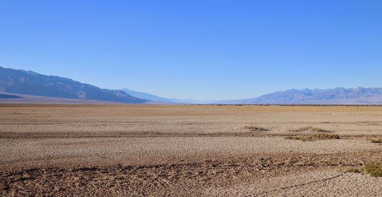 ...endless desert...