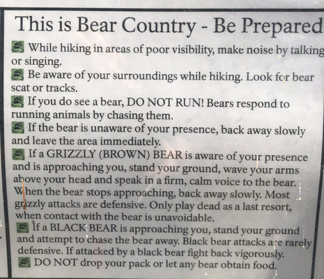 Bear Instructions