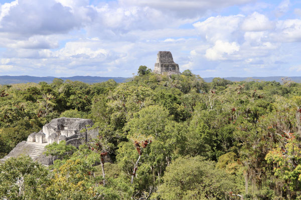 Here a view to the northwest