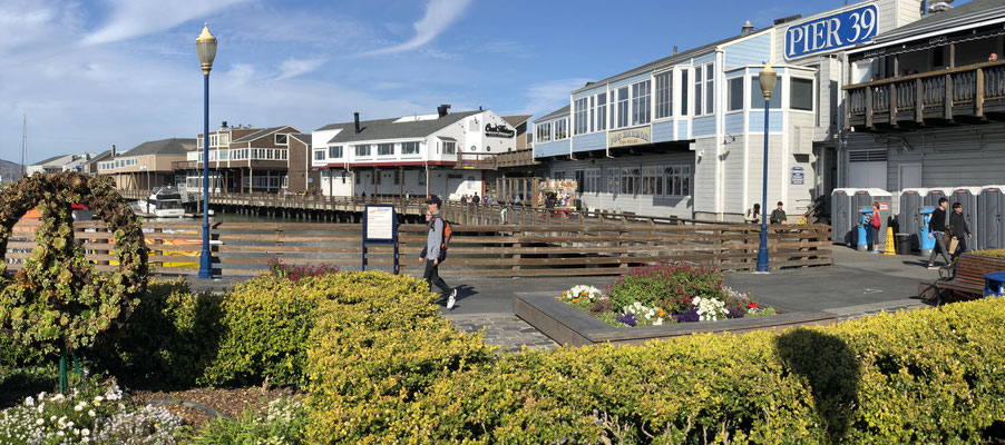 And you can't miss Pier 39 they said...