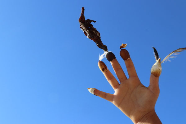 Lynn's finger games