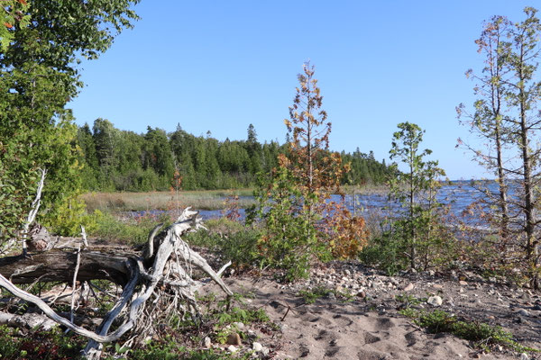 Spaziergang auf Manitoulin Island
